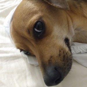 Meet your Posher, Joanna